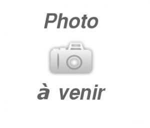 photo equipe