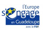 guadeloupe fse