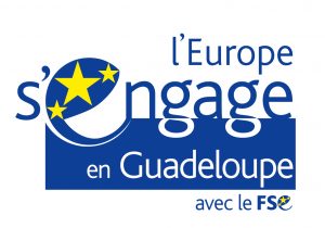 guadeloupe fse